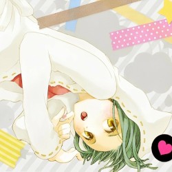 キャットフード