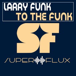 To the Funk - (original mix)