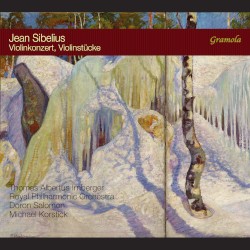 Violinkonzert / Violinstücke