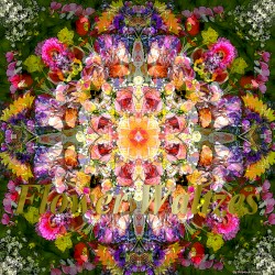 Flower Waltzes (Side 1)