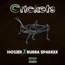 Crickets