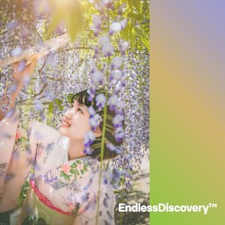 EndlessDiscovery™ 4