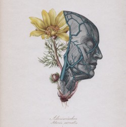 Cette mer qui est en toi