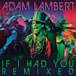 If I Had You: Remixed