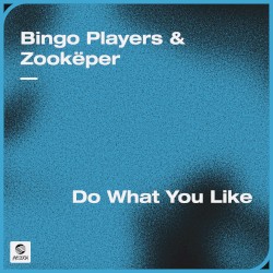Do What You Like
