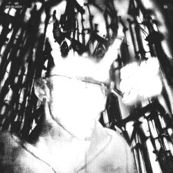 KİMSE İÇİN DEĞİLİM