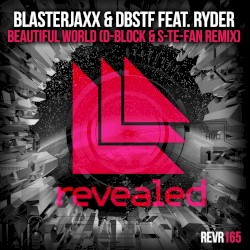 Beautiful World (D‐Block & S‐te‐Fan Remix)