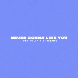 NEVER GONNA LIKE YOU