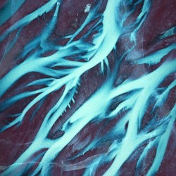 Stages | Larva Series 03