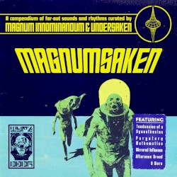 Magnumsaken