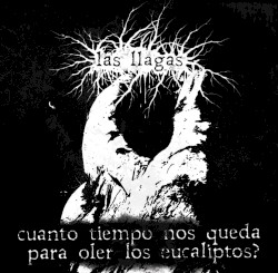 Cuanto tiempo nos queda para oler los eucaliptos?