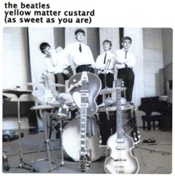 Yellow Matter Custard