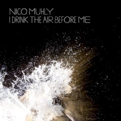 I Drink the Air Before Me