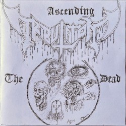 The Ascending Dead