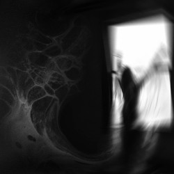 Every Day Is Exactly The Same