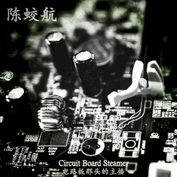Circuit Board Steamer