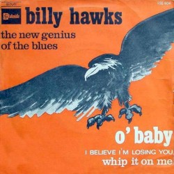 The New Genius Of The Blues