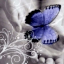 6368616e74616c : [ ] Chantal