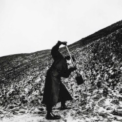 Aus keiner meiner Brücken die in Asche liegen ist je ein Phönix emporgestiegen