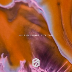 Multiple Minds | Citrizine
