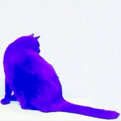 Himnos Sinfónicos Nocturnos I