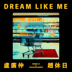 DREAM LIKE ME