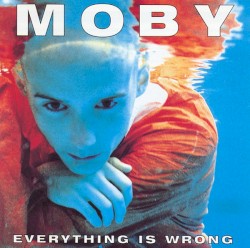 Everything Is Wrong