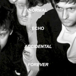 Accidental Forever