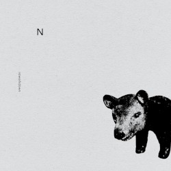 N