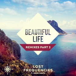 Beautiful Life (remixes, part 2)