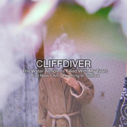 The Water Temple Is Filled With My Tears and Now I Am Drowning in Sorrow