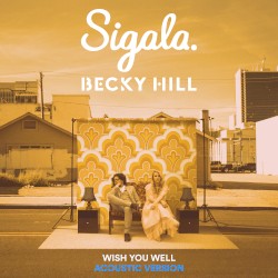 Wish You Well (acoustic)