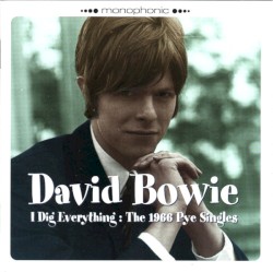 I Dig Everything: The 1966 Pye Singles