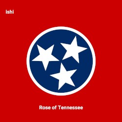 Rose of Tennessee