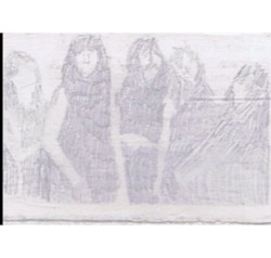 Ghosting the garden after the fire