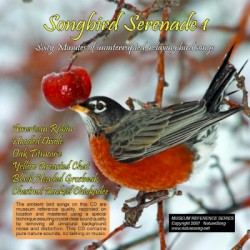 Songbird Serenade 1