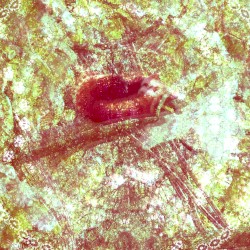 Nobody’s Fault But Mine