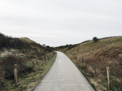 For now, this will do