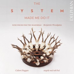 The System Made Me Do It