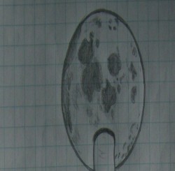 FuLLuck.Moon