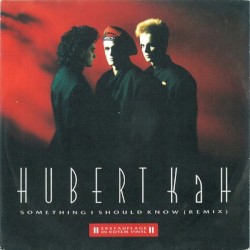 Something I Should Know (remix)