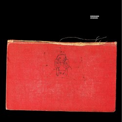 Amnesiac