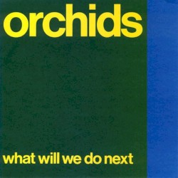 What Will We Do Next?