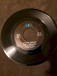 Chicken Giblets / Potlicka