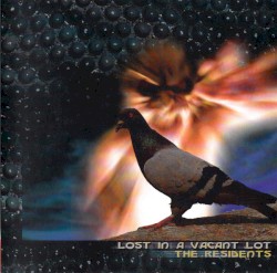 Lost in a Vacant Lot