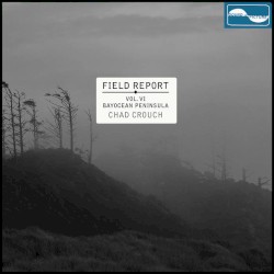 Field Report Vol. VI: Bayocean Peninsula