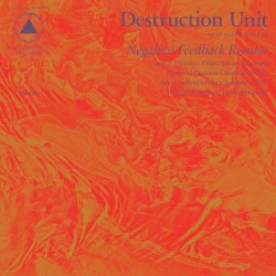 Negative Feedback Resistor