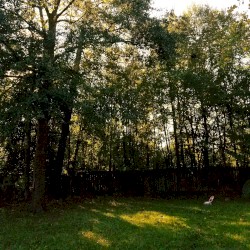 Naked Sound Seventeen