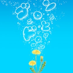 ゴロンとドロン