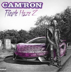 Purple Haze 2